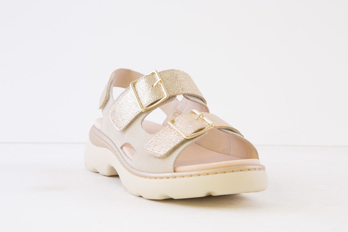 COMFORT CLASS - 5179 VELCRO COMFORT SANDAL - GOLD/BEIGE