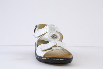 BELVIDA - 45.212 DOUBLE VELCRO T-BAR SANDAL - PEARL WHITE