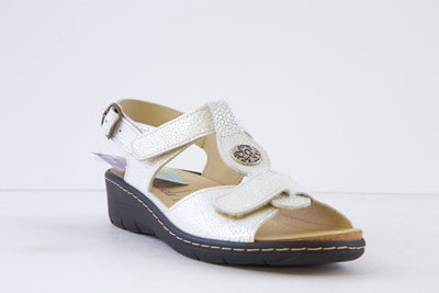 BELVIDA - 45.212 DOUBLE VELCRO T-BAR SANDAL - PEARL WHITE