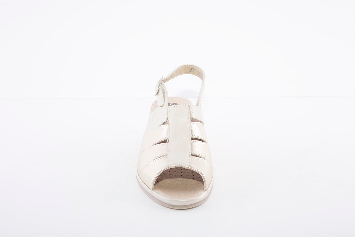 SUAVE - CHIVES LOW WEDGE OPEN SANDAL - CREAM/GOLD