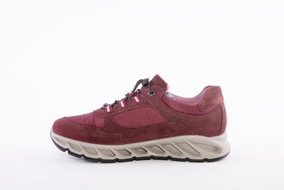 IGI & CO - 8179722 LACED COMFORT WALKING/HIKING SHOE - WINE SUEDE COMBI