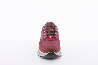 IGI & CO - 8179722 LACED COMFORT WALKING/HIKING SHOE - WINE SUEDE COMBI