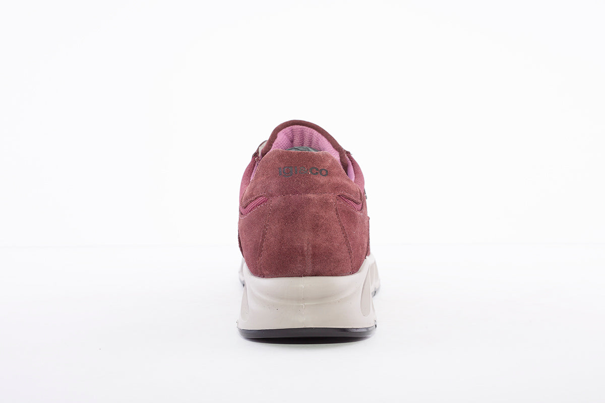IGI & CO - 8179722 LACED COMFORT WALKING/HIKING SHOE - WINE SUEDE COMBI