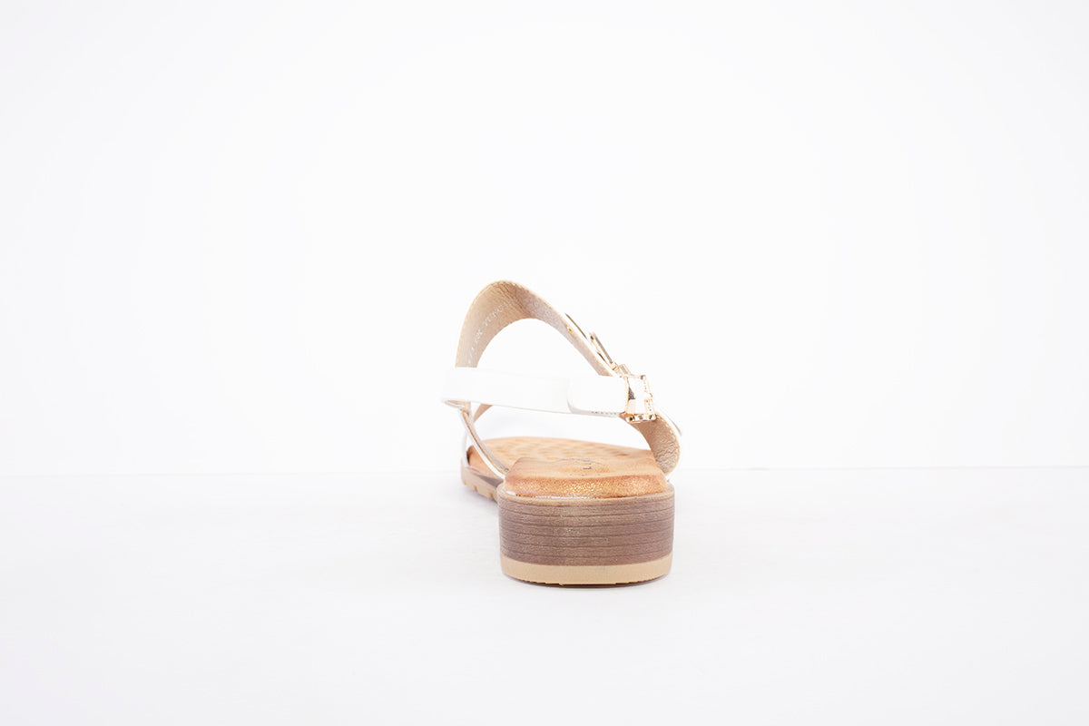 LUNAR - JLH311 TUSCANY FLAT STRAP FASHION SANDAL - WHITE