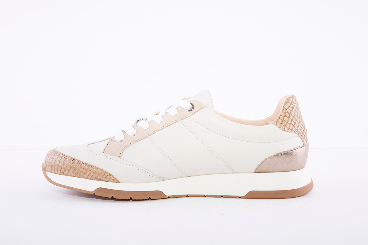 UNISA - Falconi Ivory/Nude Laced Sneakers