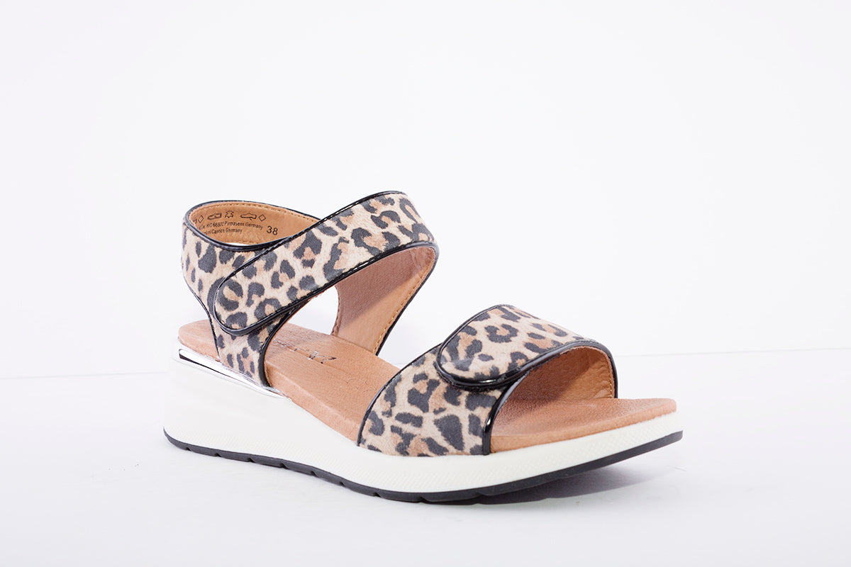 CAPRICE - LOW WEDGE VELCRO SANDAL - LEOPARD PRINT