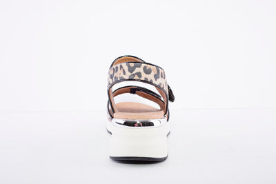 CAPRICE - LOW WEDGE VELCRO SANDAL - LEOPARD PRINT