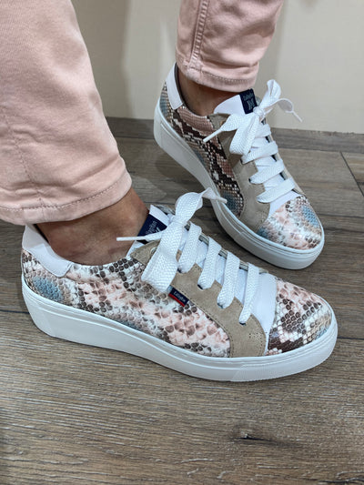 CALLAGHAN - 14928 LACED FASHION SHOE - BEIGE MULTI